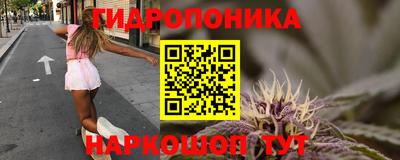 ешки Лесосибирск