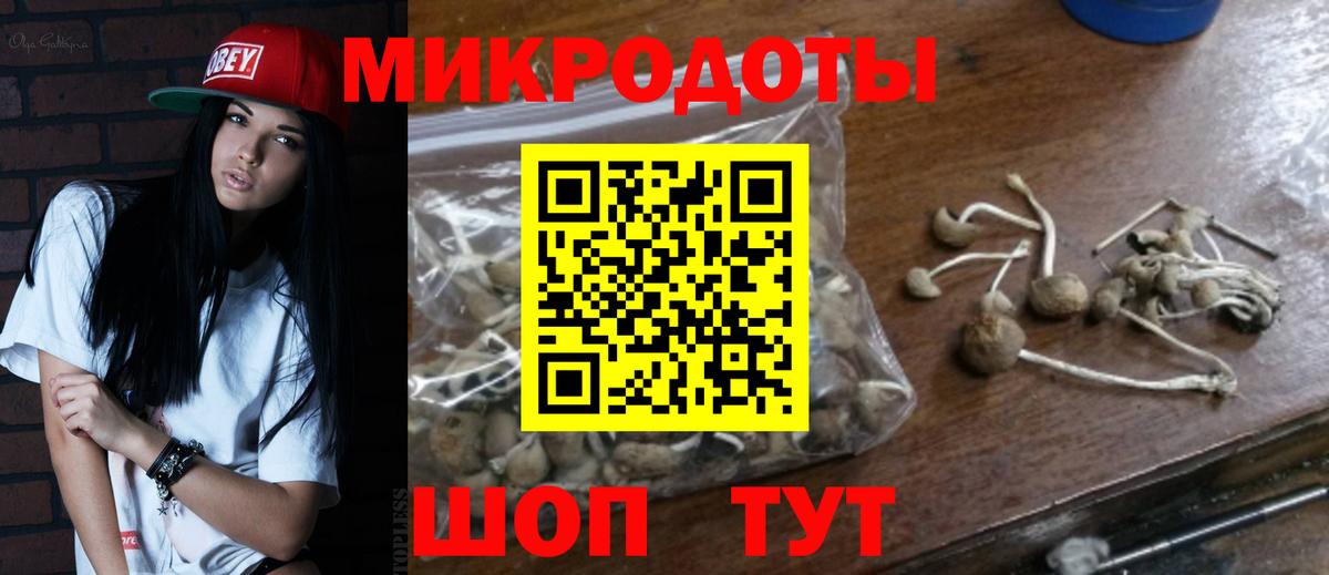 Псилоцибиновые грибы Psilocybine cubensis Воронеж