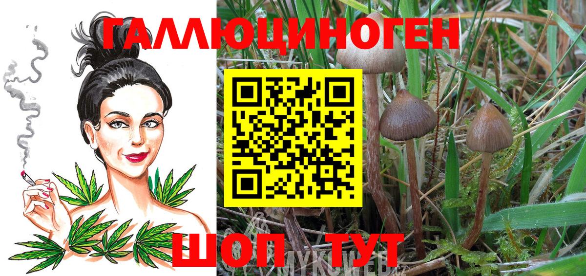Воронеж  Галлюциногенные грибы ЛСД  Вход с VPN 