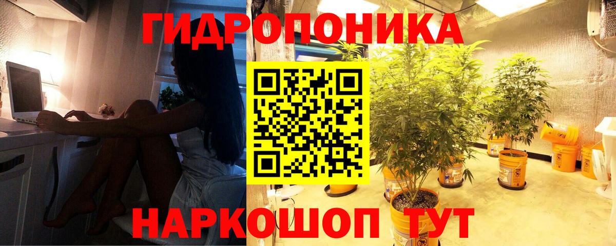 Конопля OG Kush  Марихуана марихуана  Вход с VPN  Воронеж 